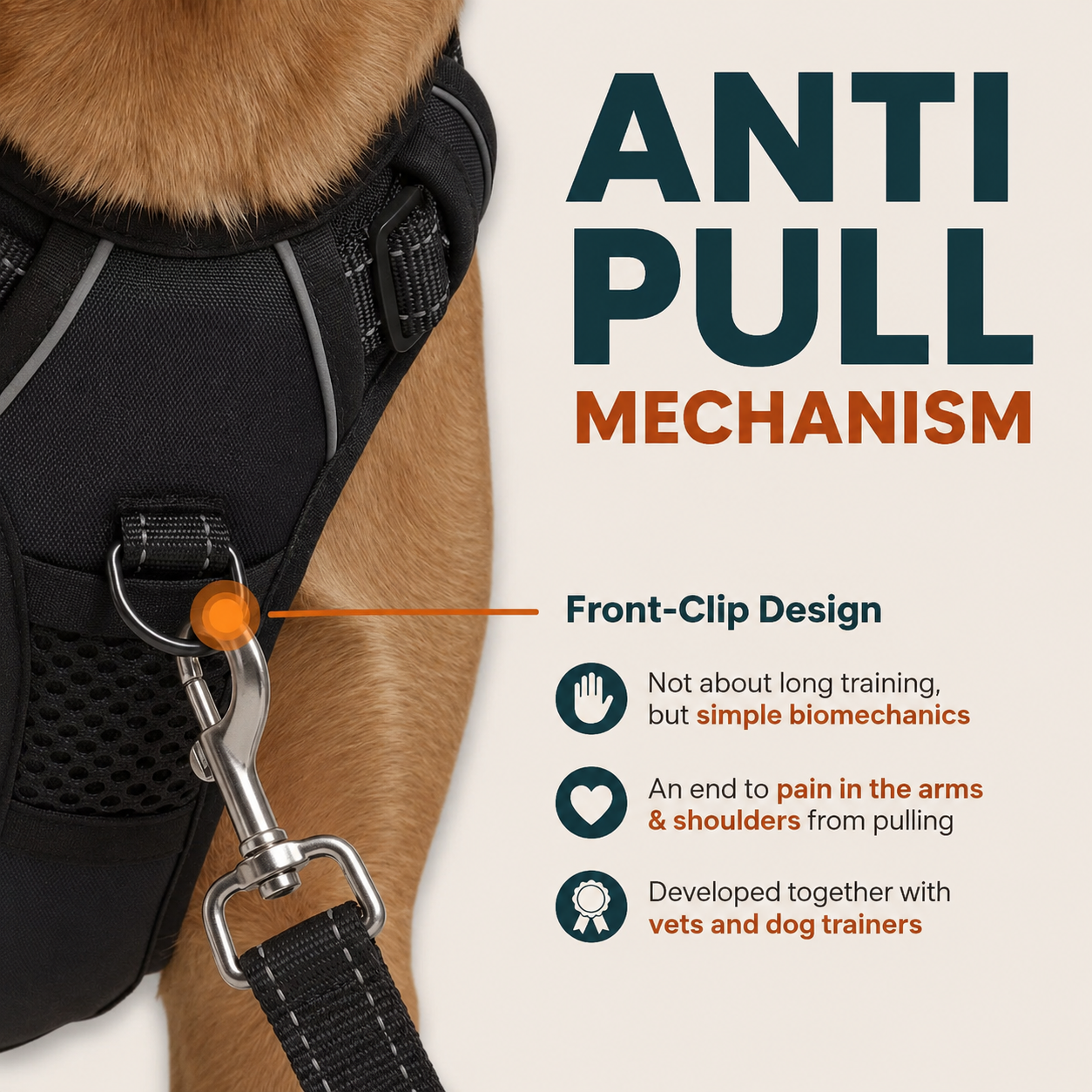 No-Pull Harness